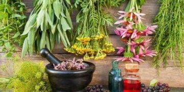 آذربایجان غربی رویشگاه گیاهان دارویی کشور