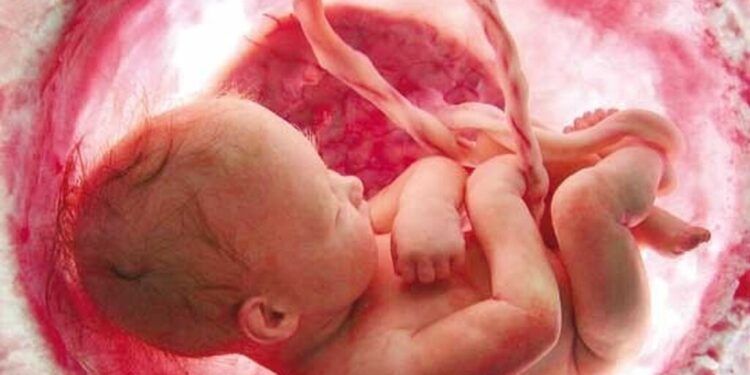 راهاندازی سامانه مشاوره ژنتیک برای پیشگیری از تولد کودکان معلول