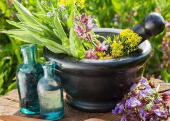 ۴۰ گونه گیاه دارویی در آذربایجان غربی فرآوری شده است