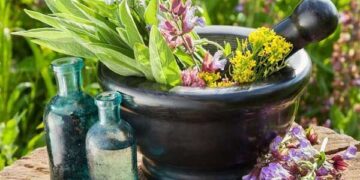 ۴۰ گونه گیاه دارویی در آذربایجان غربی فرآوری شده است