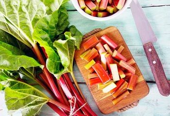 خواص معجزه آسای این گیاه برای سلامت بدن